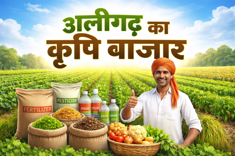 Agriculture Market Aligarh